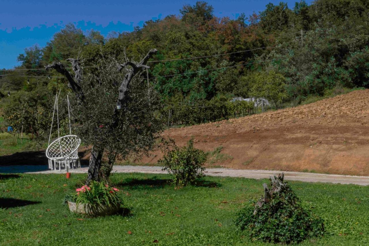 Podere Pratizzoli Tole ภายนอก รูปภาพ